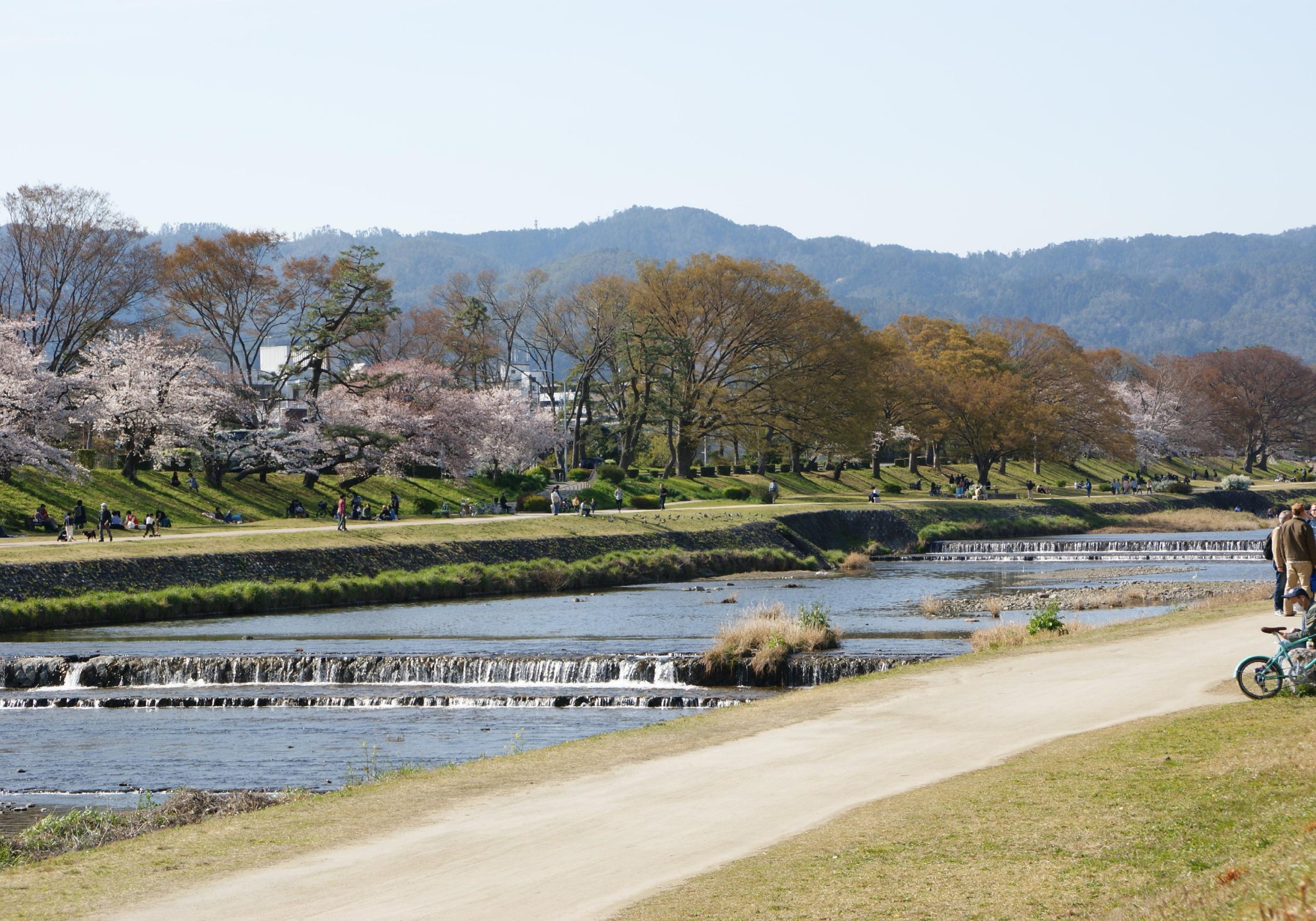 物件から徒歩10分の賀茂川。お散歩に最適です。
